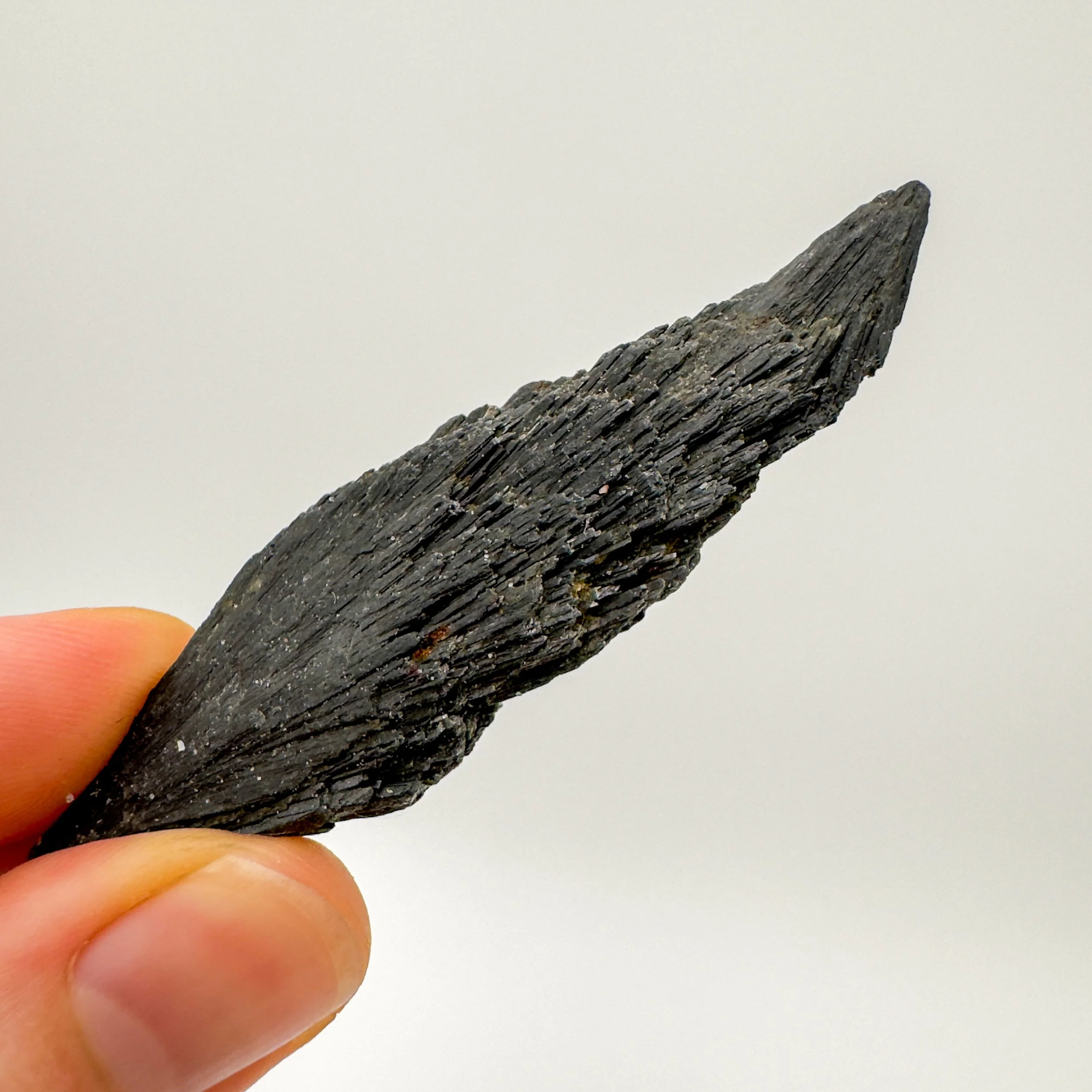 WHAT WE WANT×GeekField KATORI Kyanite — Store — Beyond Bohemian